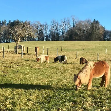 Heissenhof Farm stay