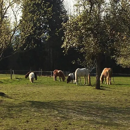 Heissenhof Farm stay Rimsting